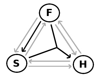 A representation of how the members of the Trinity are related on Swinburne's functional monotheist social trinitarianism