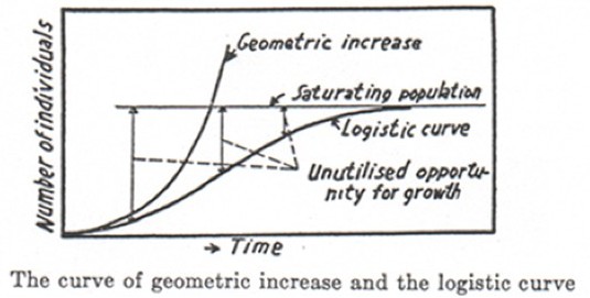 Geometric increase of number of individuals over time