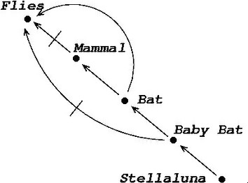 stellaluna diagram